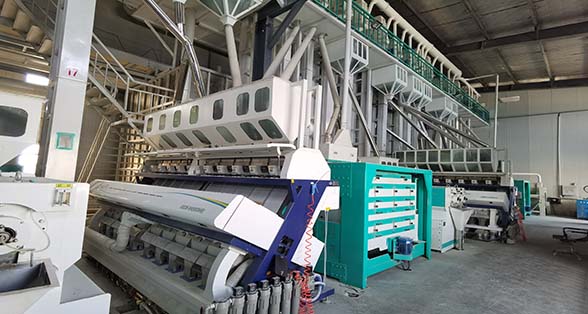 棗陽(yáng)縣首家院士專(zhuān)家工作站落戶(hù)華偉糧油集團(tuán)