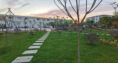 看今天的企業(yè)生機(jī)勃勃，謀未來(lái)的發(fā)展壯志滿(mǎn)懷，公司在不斷發(fā)展壯大的道路上